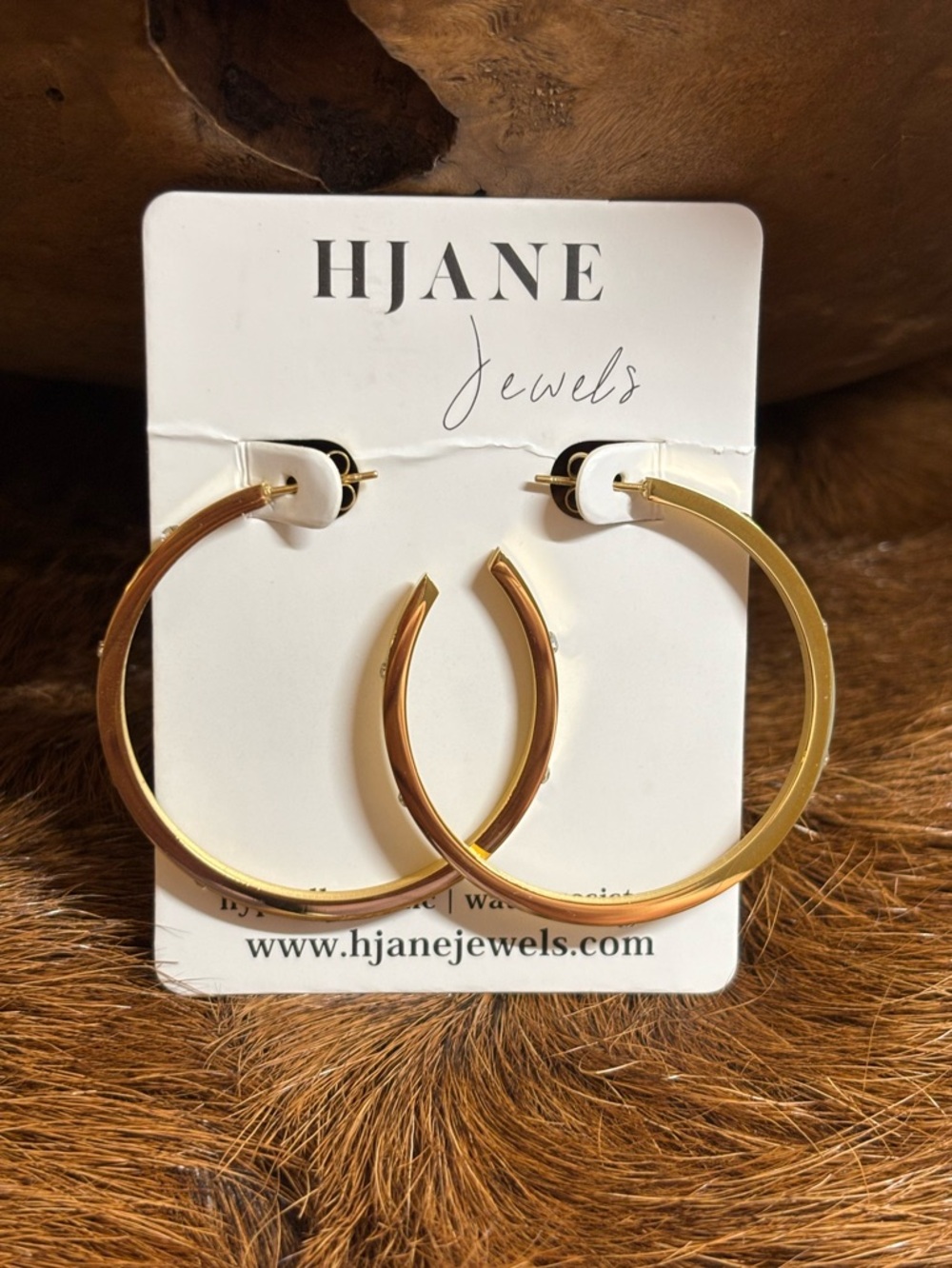 HJane Jewels Gold and Crystal Hoop Earrings